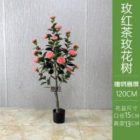 XU0612679